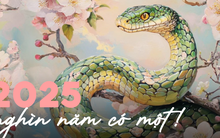 1000 năm nữa mới có 1 năm như 2025: Tất cả liên quan đến con số 9 của sự phơi bày và thanh lọc!