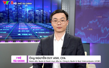 Giám đốc đầu tư VCBF: "Khi đất nước vươn mình, chắc chắn thị trường chứng khoán Việt Nam cũng sẽ vươn mình"