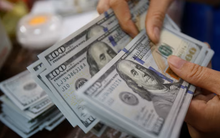 Tỷ giá hôm nay 25/3: USD ngân hàng, USD tự do neo ở mức cao