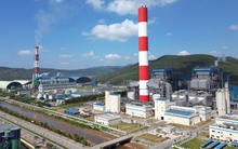 Có tin vui từ Thanh Hóa