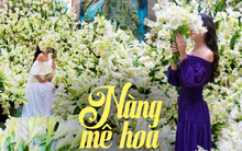 Mãn nhãn vườn hoa loa kèn tại gia 2.000 bông của chị đẹp Hải Phòng