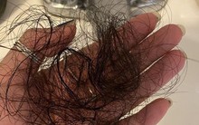 Bạn đang tự đẩy mình vào “thảm cảnh” tóc rụng cả nắm vì gội đầu sai giờ