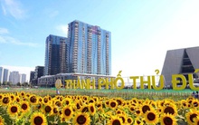 TP HCM: TP Thủ Đức đề xuất nhập các phường Thủ Đức 1, 2, 3, 4...