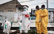 Đã giải mã được 'dịch bệnh bí ẩn' ở Congo khiến nhiều quốc gia lo sợ lây lan