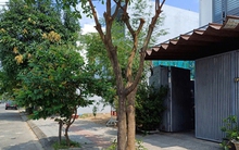 Bỗng dưng... thành giám đốc công ty nợ thuế!