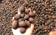 Việt Nam có 1 loại quả phơi khô là “thuốc trường thọ”: Giàu sắt gấp 5 lần thịt bò, bổ máu, dưỡng gan và xương cực hiệu quả