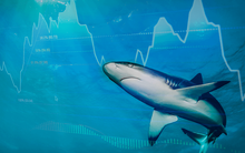 Quan điểm của PYN Elite Fund sau khi chốt lời FPT, CMG có gây tranh cãi?