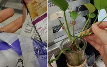 Nể người nào nghĩ ra thứ đồ này: Tưởng "vô tri" nhưng có 10 công dụng "cực hack"