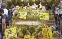 Sau Trung Quốc, sầu riêng Thái Lan và Việt Nam sắp ‘chạm trán’ tại thị trường tỷ dân mới: Quy định ‘dễ thở’ hơn Trung Quốc, lợi thế chi phí do đi đường biển