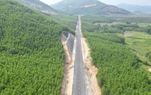 Có tin vui từ Bình Định