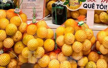 Chanh leo độc lạ giá cao chót vót vẫn không có mà bán