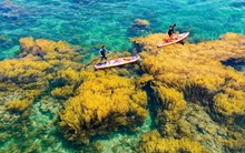 Là cửa ngõ ra biển của Tây Nguyên và 3 nước ASEAN, tỉnh miền Trung đang mời gọi đầu tư 7 lĩnh vực chủ chốt