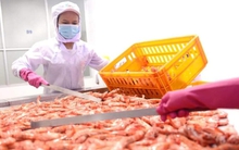 Các chính sách mới về lao động, việc làm hiệu lực từ tháng 4-2025