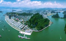 Tỉnh nhiều TP nhất Việt Nam giáp Trung Quốc, "có rừng vàng, biển bạc" không thuộc diện phải sáp nhập?