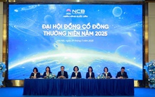 ĐHCĐ NCB 2025: Hơn 200 triệu cổ phiếu Bamboo Airways sẽ được thanh toán chậm nhất vào năm 2026, dự kiến có lãi ngay trong quý 1