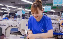 TNG muốn hủy kế hoạch chào bán cổ phiếu cho cổ đông, chia cổ tức 2024 bằng tiền