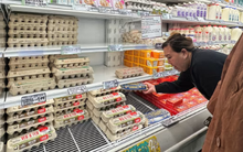 Vừa tăng giá lập kỷ lục, giá trứng tại Mỹ lại đang rơi tự do: Giảm mạnh 54% chỉ trong 1 tháng, ai là ‘thủ phạm’?