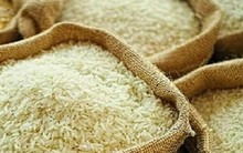 Gạo Ấn Độ chạm mức thấp nhất kể từ tháng 6/2023