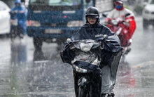 Tin gió mùa đông bắc mới nhất: Ngày mai, nhiều nơi mưa lớn, có khu vực xuống dưới 10 độ C