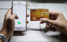 Lợi nhuận sau thuế hợp nhất của Viettel Global năm 2024 cao nhất từ trước đến nay