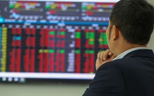 Một cổ phiếu chứng khoán vừa bị HOSE bổ sung vào danh sách cắt margin