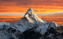 Doanh nghiệp dự định trả cổ tức gần 50.000 đồng/cp vừa lập kỷ lục mới