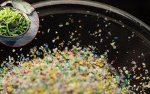 Loại rau tiềm ẩn nguy cơ ngậm vi nhựa nhiều bậc nhất: Chuyên gia nói khi mua cần lưu ý điều này