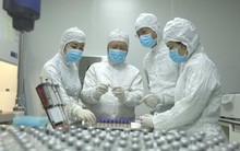 Philippines muốn mua vắc xin phòng tả lợn từ Việt Nam, một tập đoàn chăn nuôi doanh thu hơn 13.500 tỷ có thể hưởng lợi