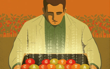 3 điều người EQ cao đại kỵ nói ở nơi công sở nhưng người EQ thấp lại thản nhiên kể: Bảo sao sự nghiệp luôn lận đận