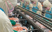 DN Việt bán đồ ăn lớn nhất nhì cho người Mỹ: thu về vài trăm triệu USD, giá trị sổ sách 430.000 đồng/cp, EPS 70.000 đồng, nhiều năm liền cổ tức 100%