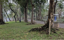 Nỗ lực làm “sống” lại các công viên đang xuống cấp ở Hà Nội vẫn trên giấy?