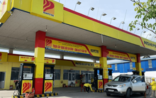 Cổ phiếu của “đại gia” xăng dầu nợ thuế nghìn tỷ rơi vào diện đình chỉ giao dịch