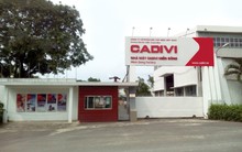 Công ty chủ chốt nhóm GELEX báo lãi tăng 127% lên 1.200 tỷ, muốn chi hơn 800 tỷ chia cổ tức tiền mặt tỷ lệ 140% cho cả năm 2024 và 2025