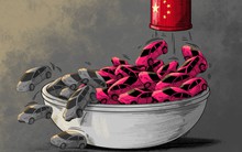 Cuộc chiến giá xe điện Trung Quốc qua đi, để lại vô số các "xe Zombie" cho người dùng: Bỏ thì thương mà vương thì tội