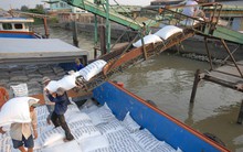 Hiệp hội Lương thực Việt Nam đề xuất áp giá sàn xuất khẩu gạo ở mức 500 USD/tấn