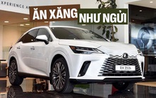 Lexus RX hybrid 2025 giá dự kiến từ 3,5 tỷ đồng tại Việt Nam, dễ bán tháng sau, cạnh tranh X5, Q7 bằng động cơ tiết kiệm như Vios