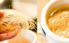 Việt Nam có vị thuốc dễ tìm lại "rẻ như cho", được coi là "tiên dược" bổ thận