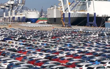 Thiên đường xe điện của thế giới chính thức lộ diện: Hai tháng liên tiếp bán 95% là xe xanh, Tesla bất ngờ trở thành ‘con ghẻ’