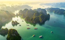 Vinhomes ký hợp đồng xây dựng dự án Hạ Long Xanh với Vincons