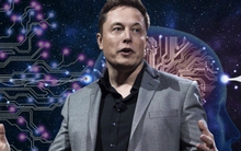 Elon Musk cho biết “chỉ có 20% khả năng loài người bị hủy diệt” bởi AI