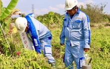 Đường cao tốc tăng tốc