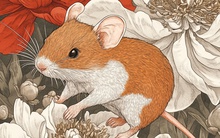 Đây là 4 con giáp thành công nhất 6 tháng đầu năm 2025