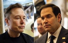 Thực hư tin đồn bất hòa giữa ngoại trưởng Mỹ và tỷ phú Elon Musk