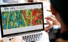 Quỹ ngoại lớn nhất thị trường chứng khoán Việt Nam hứa hoàn tiền cho nhà đầu tư nếu thua VN-Index