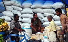 Thị trường gạo toàn cầu xáo trộn mạnh vì gạo Ấn Độ