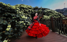 Đây là lúc tốt nhất để ngắm "nữ hoàng Tây Bắc" rực rỡ trên ngọn núi cao nhất Việt Nam: Có gốc 400 tuổi