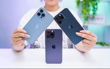 Loạt iPhone cũ liên tục 'cháy hàng', giá giảm sâu chưa từng có