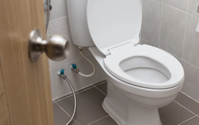 Ném 1 nắm muối vào bồn cầu rồi để đó, 2 tiếng sau bạn sẽ thấy được điều bất ngờ