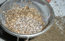 Loại hạt nhỏ nhưng kích thích mọc tóc cực hiệu quả, còn giúp hạ đường huyết và ngăn ngừa ung thư