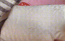 1 thứ trên giường là "ổ vi khuẩn", bạn dùng 365 ngày, không cẩn thận dễ "rước họa vào thân"